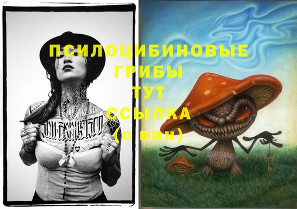 mdpv Бородино