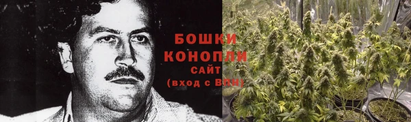 мдпв Богданович