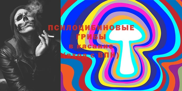 mdpv Бородино