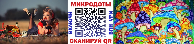 Псилоцибиновые грибы Cubensis  Купить закладки  Ленинск 